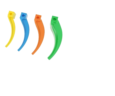 Anterior Matrix